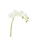 Faux Phalaenopsis Orchid Stem - small alternative image