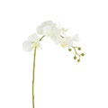 Faux Phalaenopsis Orchid Stem - large alternative image