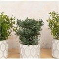 Set of 3 Faux Assorted Plants in Geo Pot alternative image