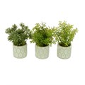 Set of 3 Faux Assorted Plants in Geo Pot alternative image