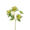 Faux Hellebore Green alternative image