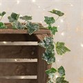 Frosted Faux Ivy Garland - Variegated alternative image