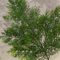 Artificial Cedar Pine Spray alternative image