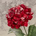 Snowstorm Faux Hydrangea - Red alternative image