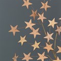 Wooden Star Spray - Natural alternative image