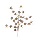 Wooden Star Spray - Natural alternative image