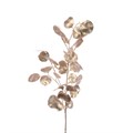 Metallic Eucalyptus Spray - Champagne alternative image