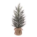 Frosted Pine Tree with Cones In Burlap alternative image