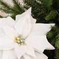 Set of 3 White Frosted Poinsettia Clip Decorations alternative image