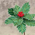 Holly Poinsettia Stem - Green alternative image