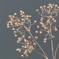 Metallic Gypsophila Spray - Champagne alternative image