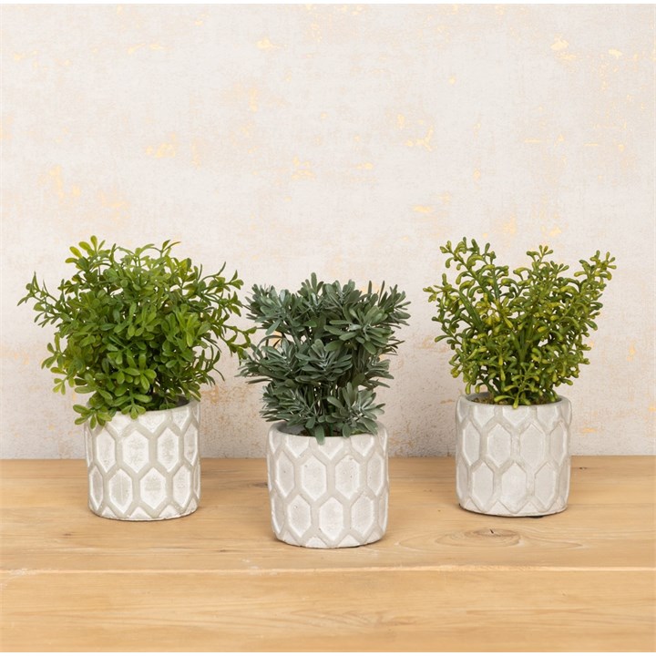 Set of 3 Faux Assorted Plants in Geo Pot
