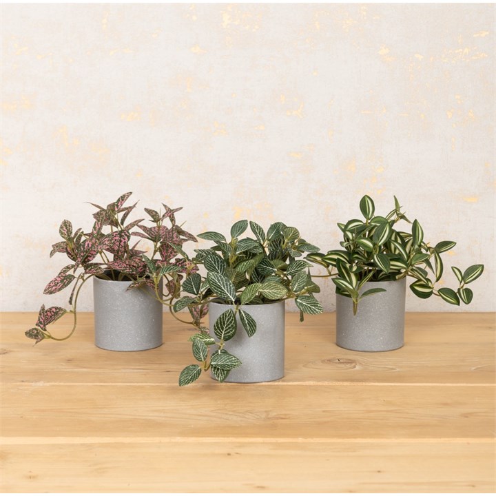 Set of 3 Faux Assorted Plants in Grey Pot