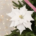 Set of 3 White Frosted Poinsettia Clip Decorations